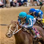 horse to bet on in kentucky derby